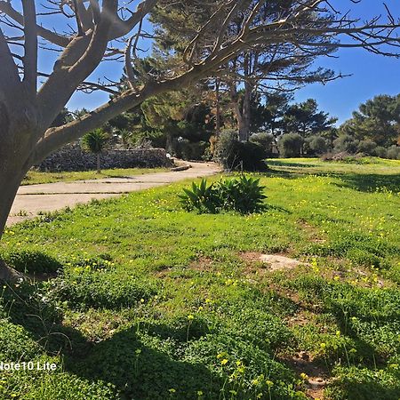 Sogni Nel Blu Favignana Villa Bagian luar foto