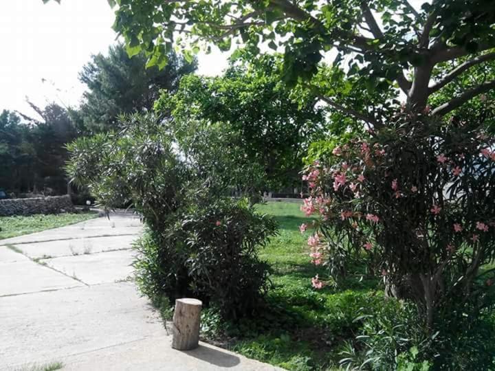 Sogni Nel Blu Favignana Villa Bagian luar foto