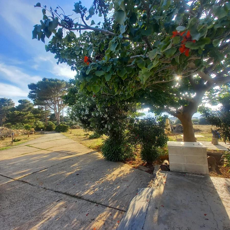 Sogni Nel Blu Favignana Villa Bagian luar foto