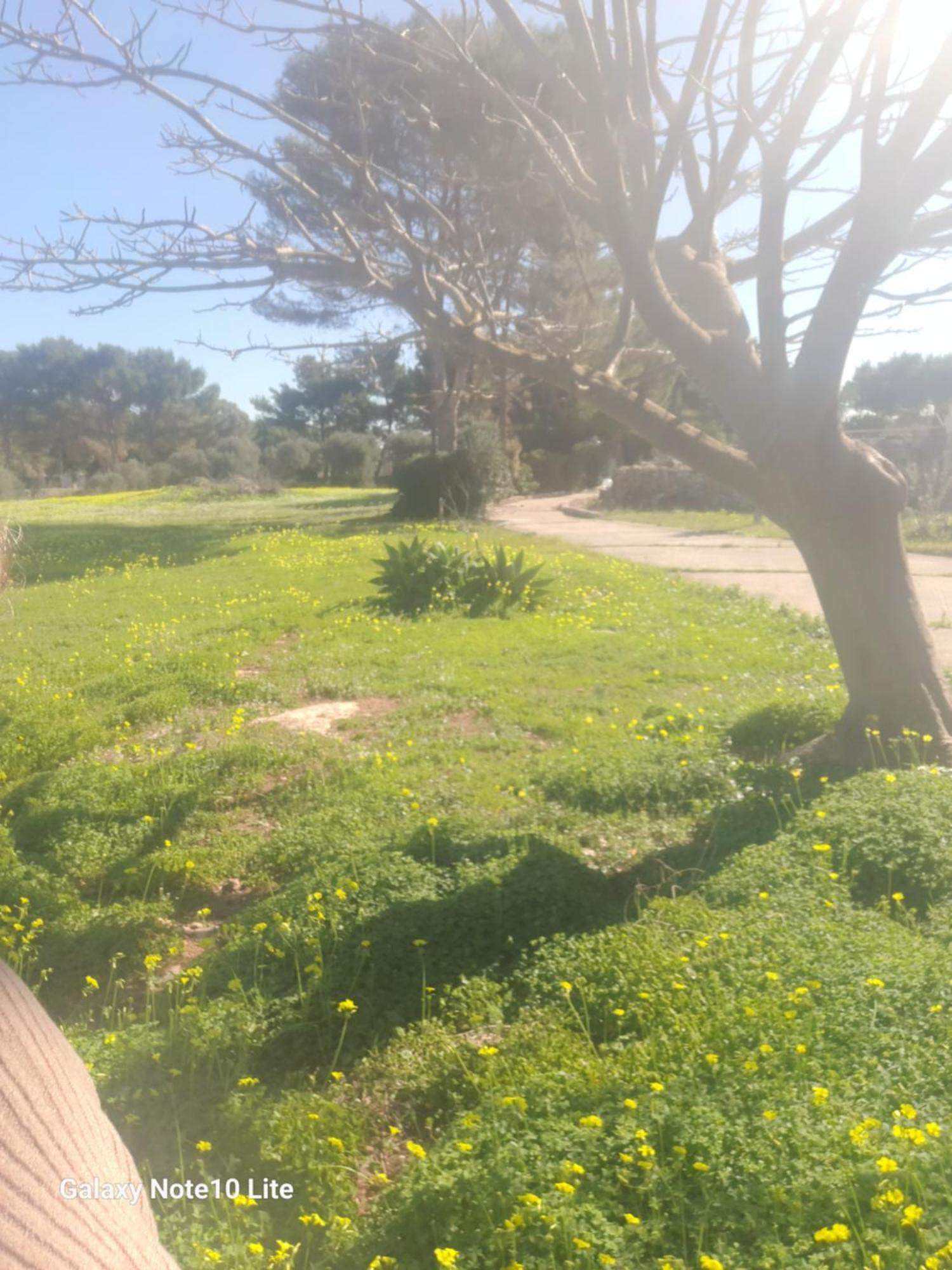 Sogni Nel Blu Favignana Villa Bagian luar foto