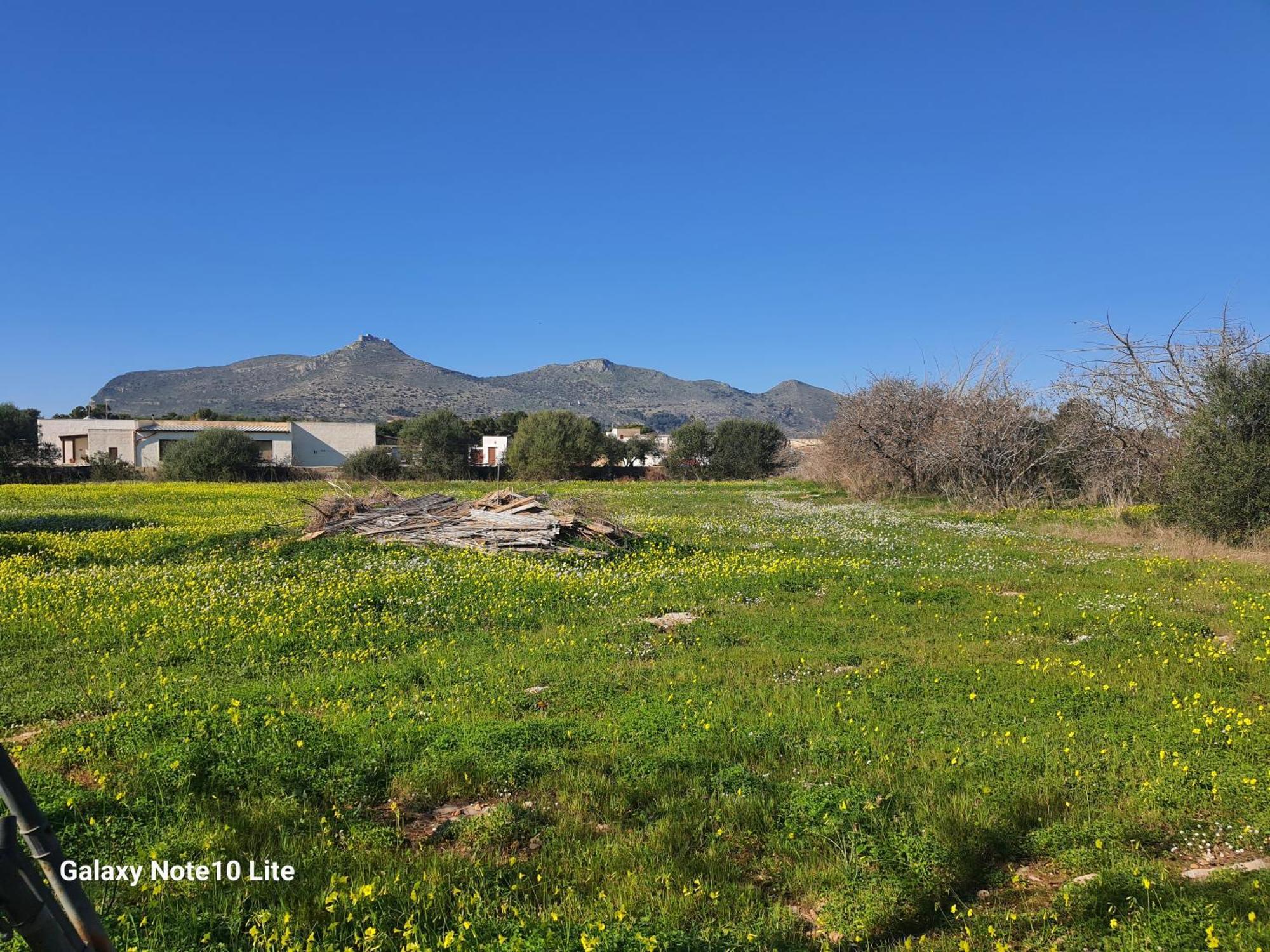 Sogni Nel Blu Favignana Villa Bagian luar foto