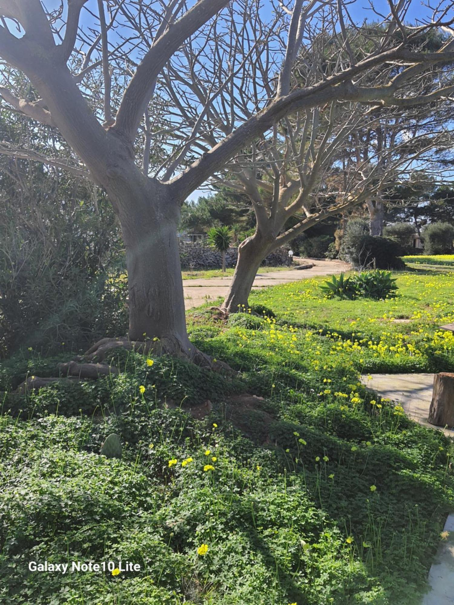 Sogni Nel Blu Favignana Villa Bagian luar foto