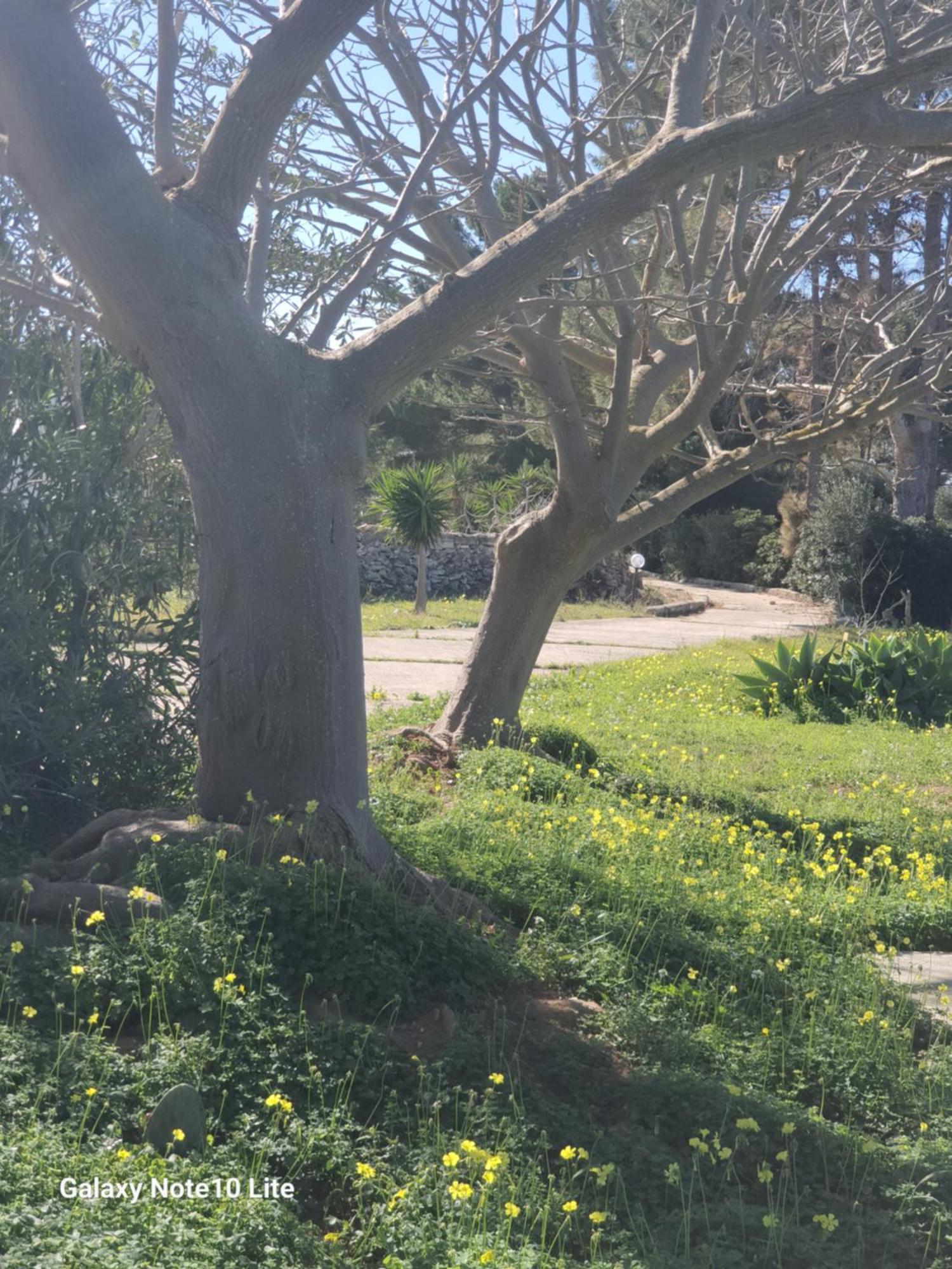 Sogni Nel Blu Favignana Villa Bagian luar foto