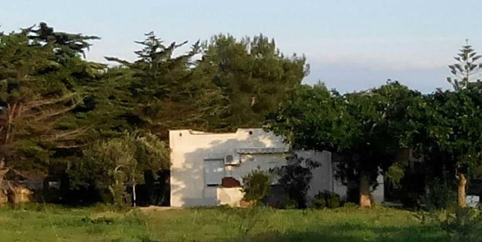 Sogni Nel Blu Favignana Villa Bagian luar foto